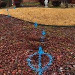 Expert Outdoor Leak Detection