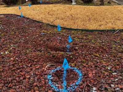 Expert Outdoor Leak Detection