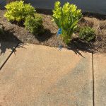 Expert Septic Tank Locating Project