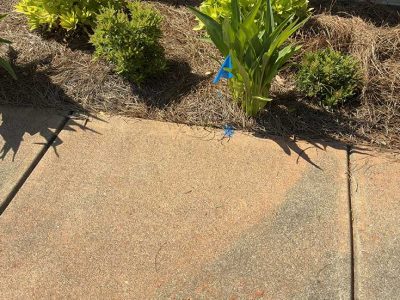 Expert Septic Tank Locating Project