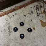 Locating Septic Tank