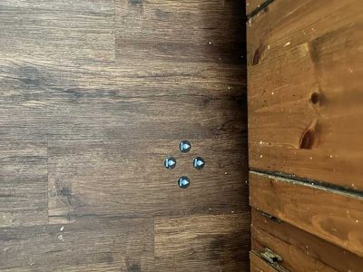 Locating Septic Tank Service