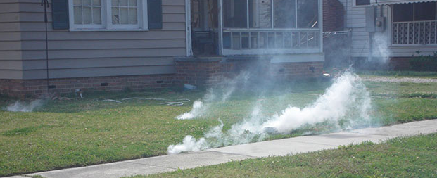 Gallery Ng 3 1770132893 Png